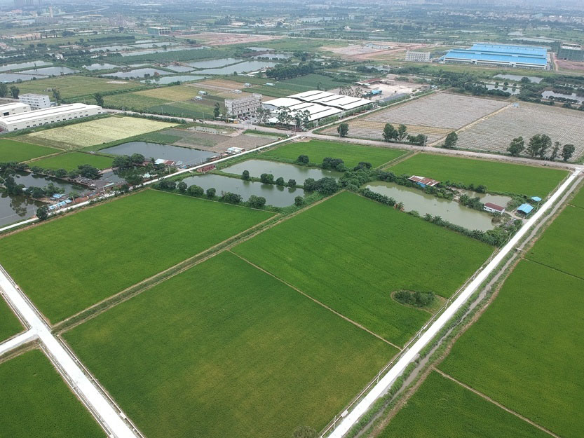 博羅縣石灣鎮(zhèn)鐵場村、白沙村現(xiàn)有耕地提質(zhì)改造項目