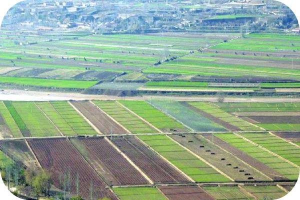 惠州市惠城區(qū)橫瀝鎮(zhèn)高標準農(nóng)田建設(shè)項目